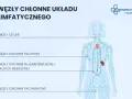 Schemat układu limfatycznego z zaznaczonymi węzłami chłonnymi szyjnymi, pachowymi, w jamie brzusznej i klatce piersiowej, a także węzłami chłonnymi pachwinowymi.