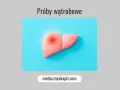 Model wątroby z czerwonym bólem. Próby wątrobowe – klucz do zdrowia.