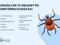 Uważaj na objawy po ugryzieniu kleszcza u dziecka: rumień, gorączka, zmęczenie, bóle głowy, powiększone węzły chłonne.