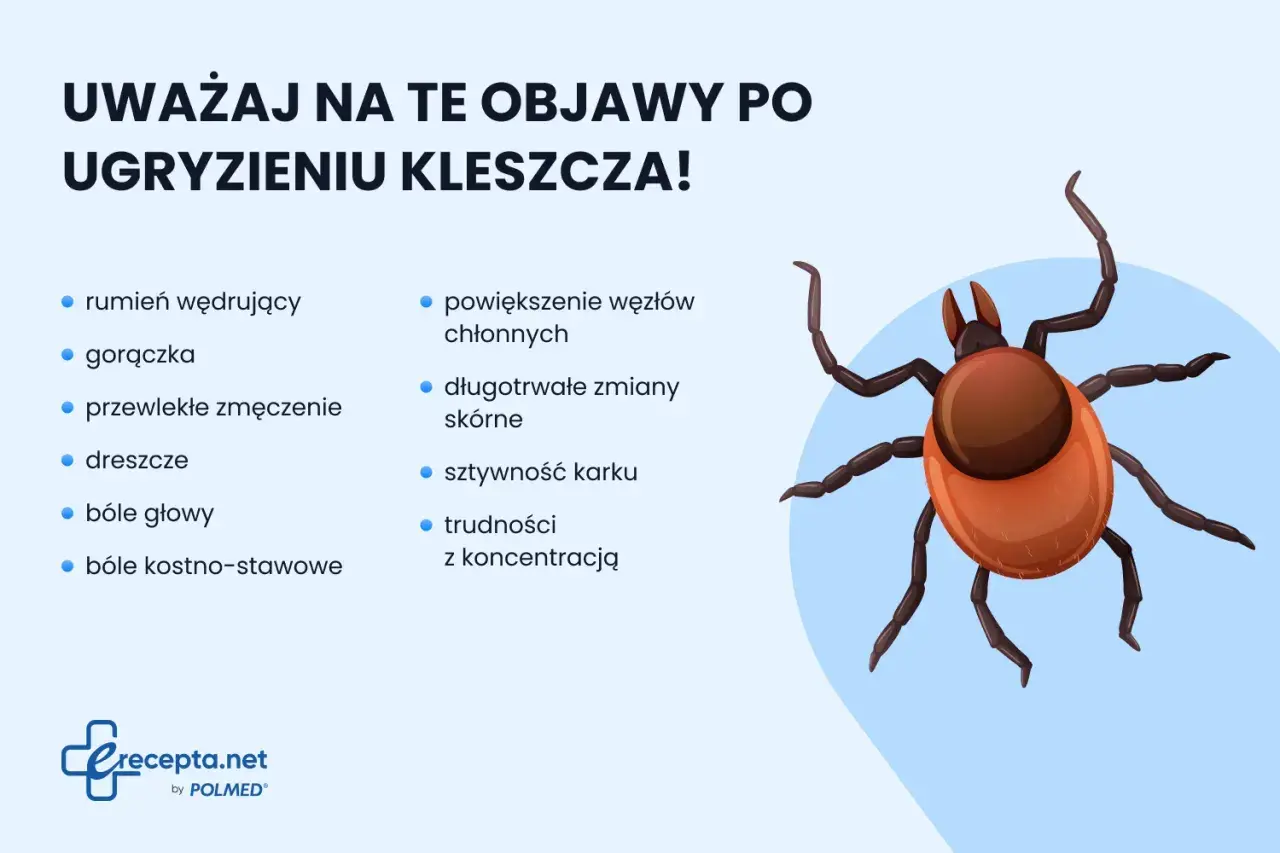 Uważaj na objawy po ugryzieniu kleszcza u dziecka: rumień, gorączka, zmęczenie, bóle głowy, powiększone węzły chłonne.