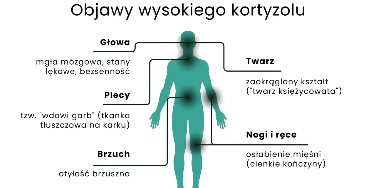 Objawy wysokiego kortyzolu: mgła mózgowa, lęki, bezsenność, "wdowi garb", otyłość brzuszna, okrągła twarz, osłabienie mięśni.
