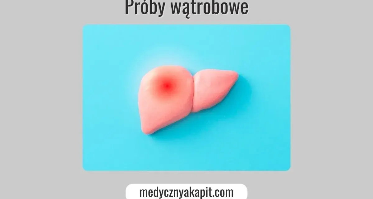 Model wątroby z czerwonym bólem. Próby wątrobowe – klucz do zdrowia.