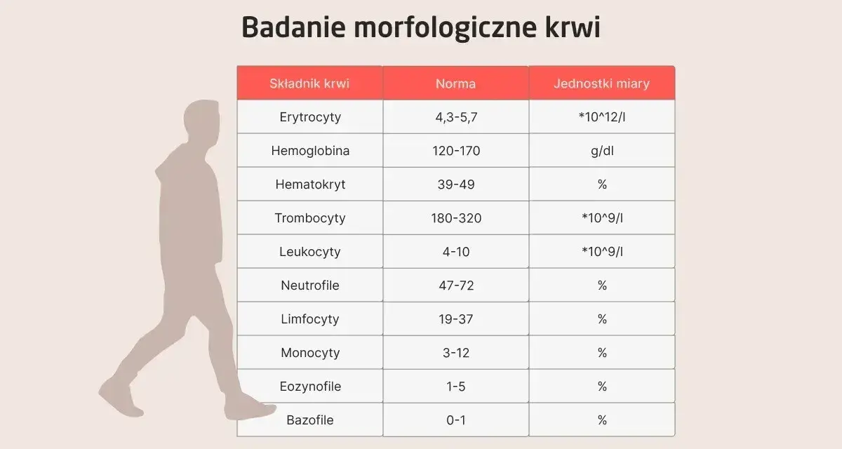 Tabela z badaniem morfologicznym krwi, pokazująca normy dla erytrocytów, hemoglobiny i innych składników. Sylwetka człowieka obok sugeruje p-lcr.