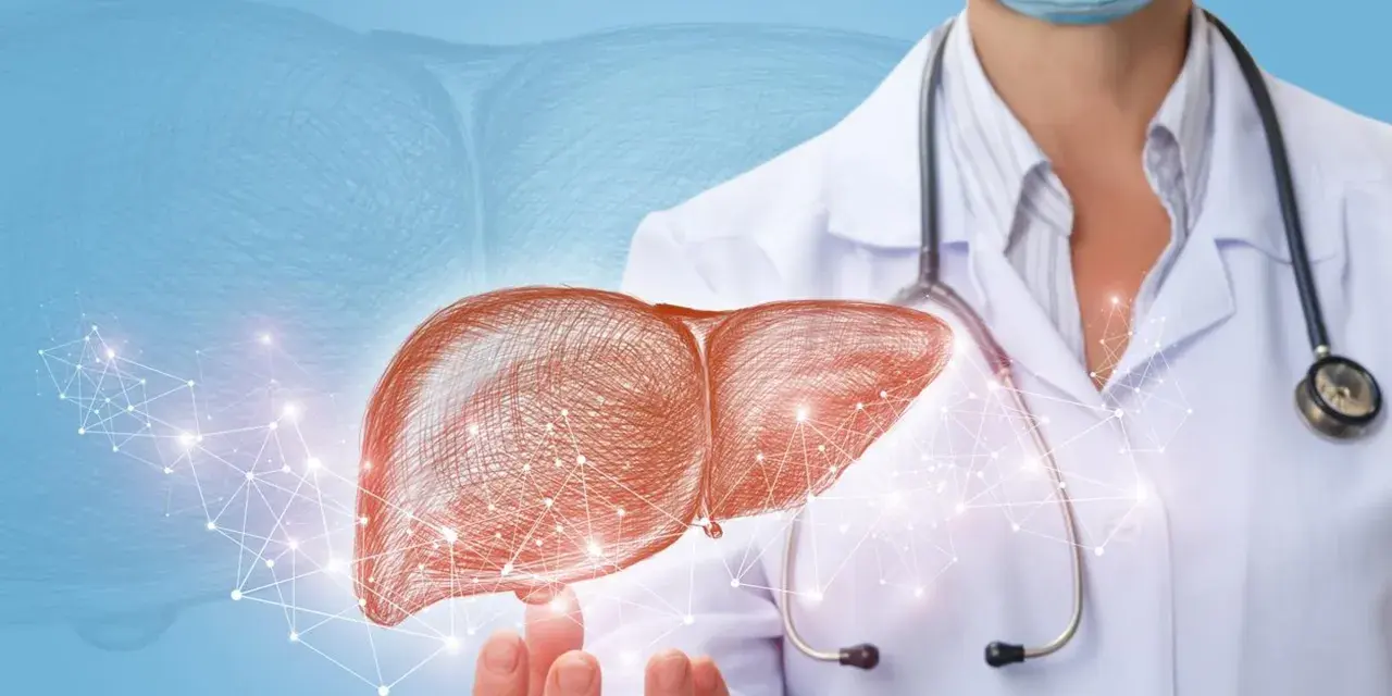 Lekarz hepatolog prezentuje schemat wątroby, symbolizujący diagnostykę i leczenie chorób tego narządu.