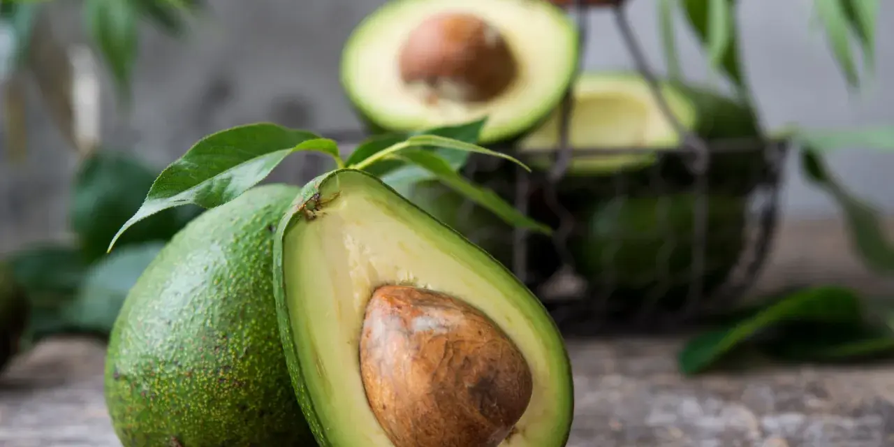 Alergia na awokado: Czy superfood może szkodzić? Objawy i rady