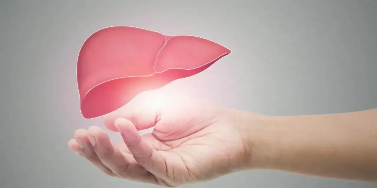 Dłoń podtrzymuje świecącą, różową wątrobę. Czy to badanie AST?