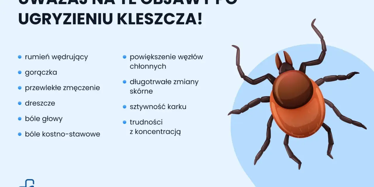Uważaj na objawy po ugryzieniu kleszcza u dziecka: rumień, gorączka, zmęczenie, bóle głowy, powiększone węzły chłonne.
