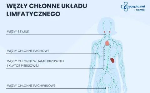 Schemat układu limfatycznego z zaznaczonymi węzłami chłonnymi szyjnymi, pachowymi, w jamie brzusznej i klatce piersiowej, a także węzłami chłonnymi pachwinowymi.