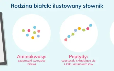 Ilustracja pokazuje, jak aminokwasy łączą się w peptydy, a następnie w białka.