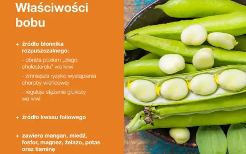 Bób - zdrowe nasiona bogate w błonnik i kwas foliowy. Niewielkie bób kalorie czynią go idealnym dodatkiem do diety.