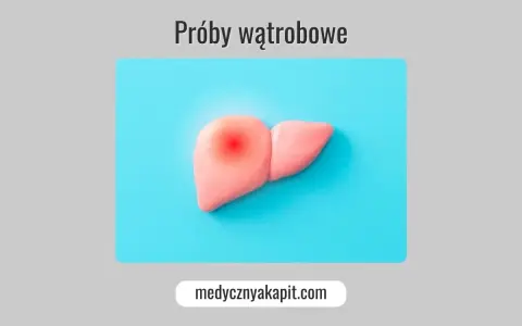 Model wątroby z czerwonym bólem. Próby wątrobowe – klucz do zdrowia.