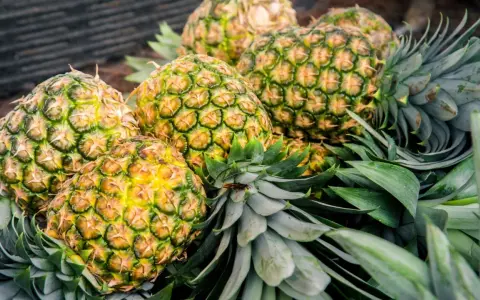 Ananas uczula? Odróżnij alergię od podrażnienia bromelainą