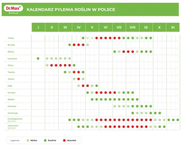 Kalendarz pylenia roślin w Polsce. W lipcu intensywnie pylą trawy, bylica, ambrozja i grzyby Cladosporium, co pyli w lipcu.