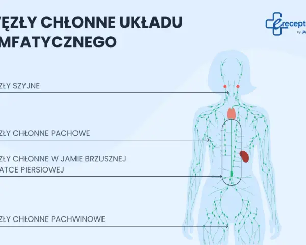 Schemat układu limfatycznego z zaznaczonymi węzłami chłonnymi szyjnymi, pachowymi, w jamie brzusznej i klatce piersiowej, a także węzłami chłonnymi pachwinowymi.