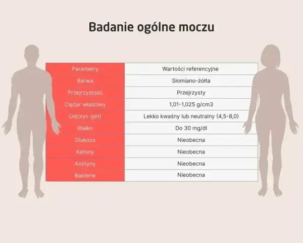 Tabela z badaniem ogólnym moczu. Wartości referencyjne dla azotynów w moczu to "Nieobecna".