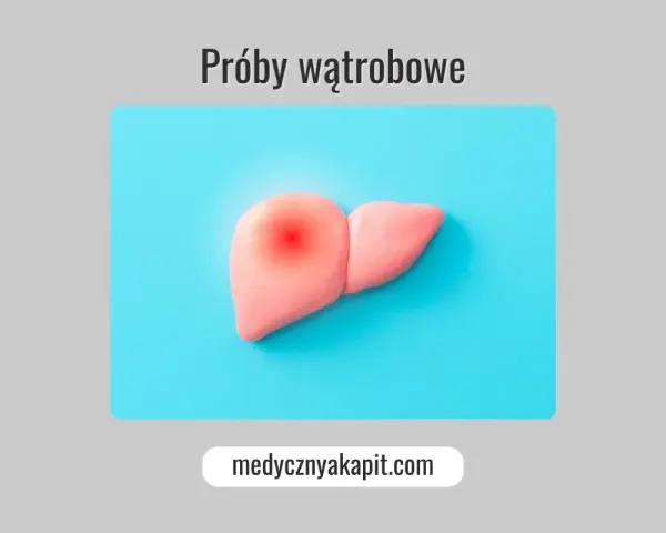 Model wątroby z czerwonym bólem. Próby wątrobowe – klucz do zdrowia.