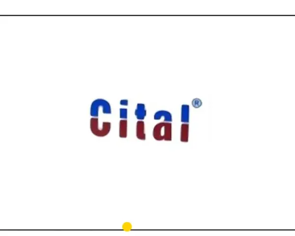 Logo Cital z niebiesko-czerwonymi literami i symbolem ®.
