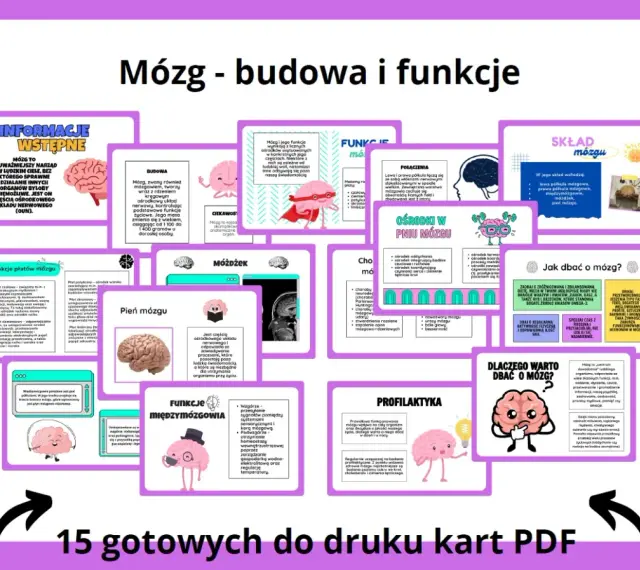 Mózg - budowa i funkcje. Grafika przedstawia schemat budowy i funkcji mózgu, z podziałem na poszczególne części i ich zadania.