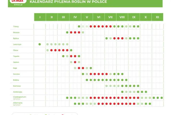 Kalendarz pylenia roślin w Polsce. W lipcu intensywnie pylą trawy, bylica, ambrozja i grzyby Cladosporium, co pyli w lipcu.