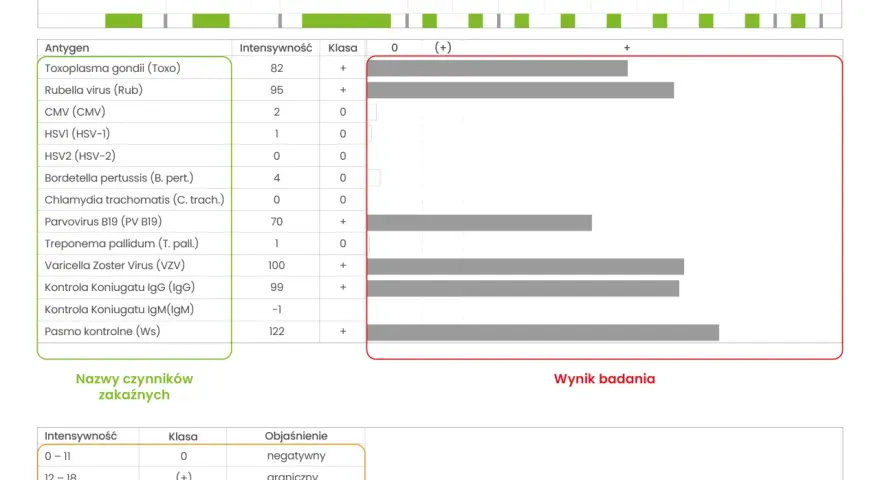 Wynik badania na obecność czynników zakaźnych, z zaznaczonymi wynikami dla Toxoplasma gondii i Rubelli. Intensywność reakcji jest jak **torch** światła.