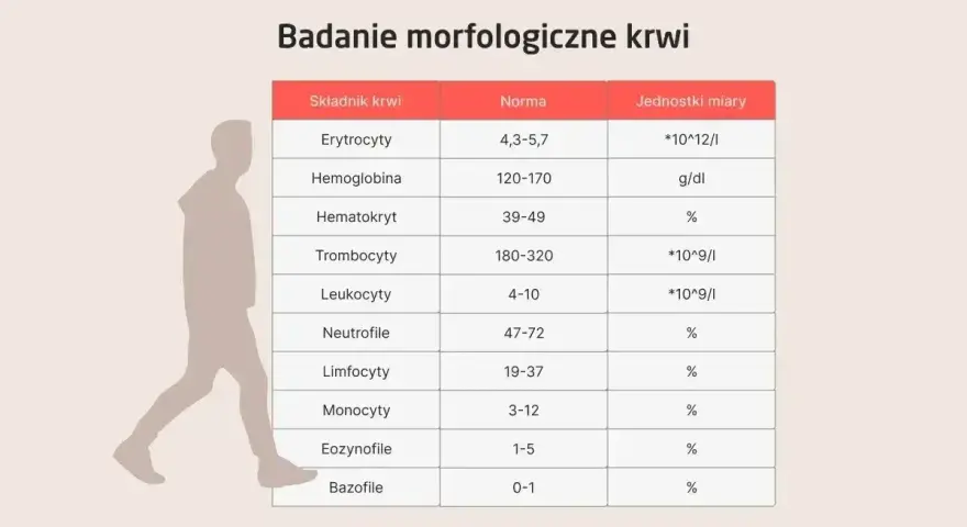 Tabela z badaniem morfologicznym krwi, pokazująca normy dla różnych składników, w tym neutrofili. Niska liczba neutrofili może wskazywać na neutropenię.