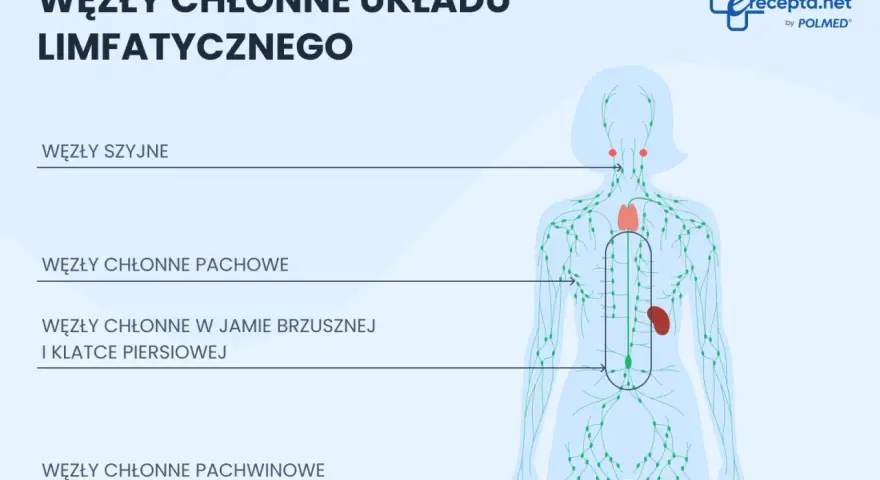 Schemat układu limfatycznego z zaznaczonymi węzłami chłonnymi szyjnymi, pachowymi, w jamie brzusznej i klatce piersiowej, a także węzłami chłonnymi pachwinowymi.