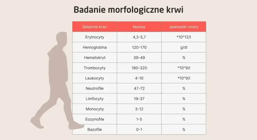 Tabela z badaniem morfologicznym krwi. Wskazuje normy dla różnych składników, w tym leukocytów. Niskie leukocyty mogą być powodem do niepokoju.