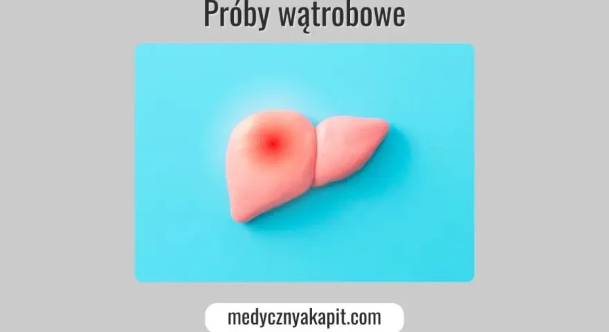 Model wątroby z czerwonym bólem. Próby wątrobowe – klucz do zdrowia.