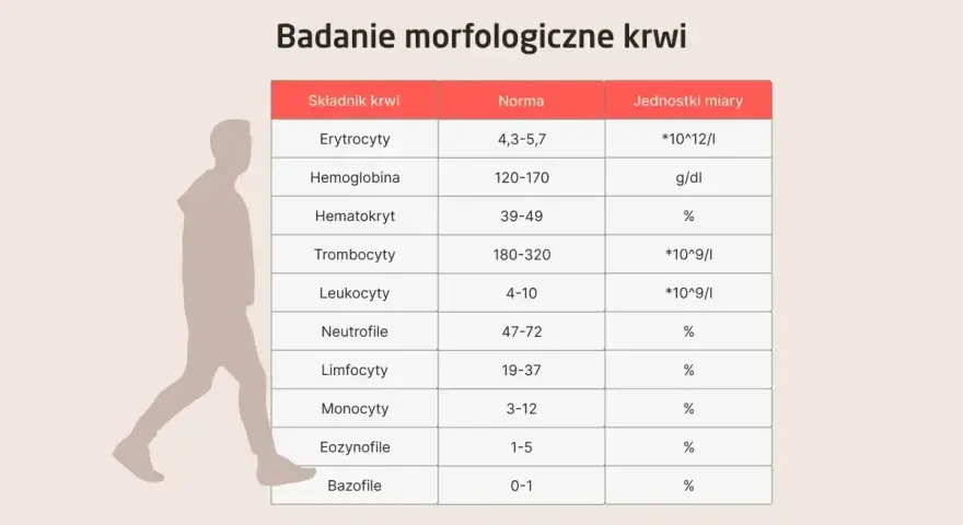Tabela z badaniem morfologicznym krwi, pokazująca normy dla erytrocytów, hemoglobiny i innych składników. Sylwetka człowieka obok sugeruje p-lcr.