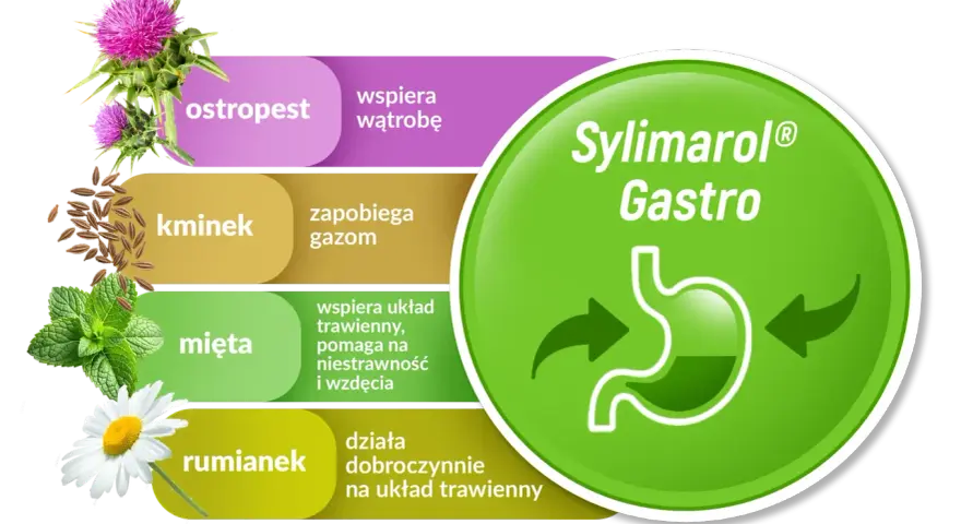 Na co Sylimarol? Pełny przewodnik o działaniu i stosowaniu