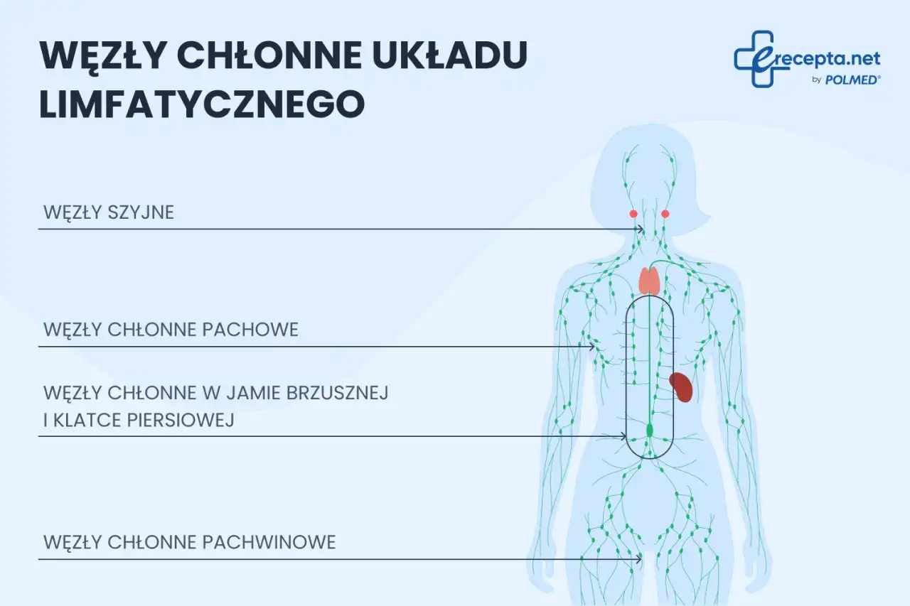 Schemat układu limfatycznego z zaznaczonymi węzłami chłonnymi szyjnymi, pachowymi, w jamie brzusznej i klatce piersiowej, a także węzłami chłonnymi pachwinowymi.