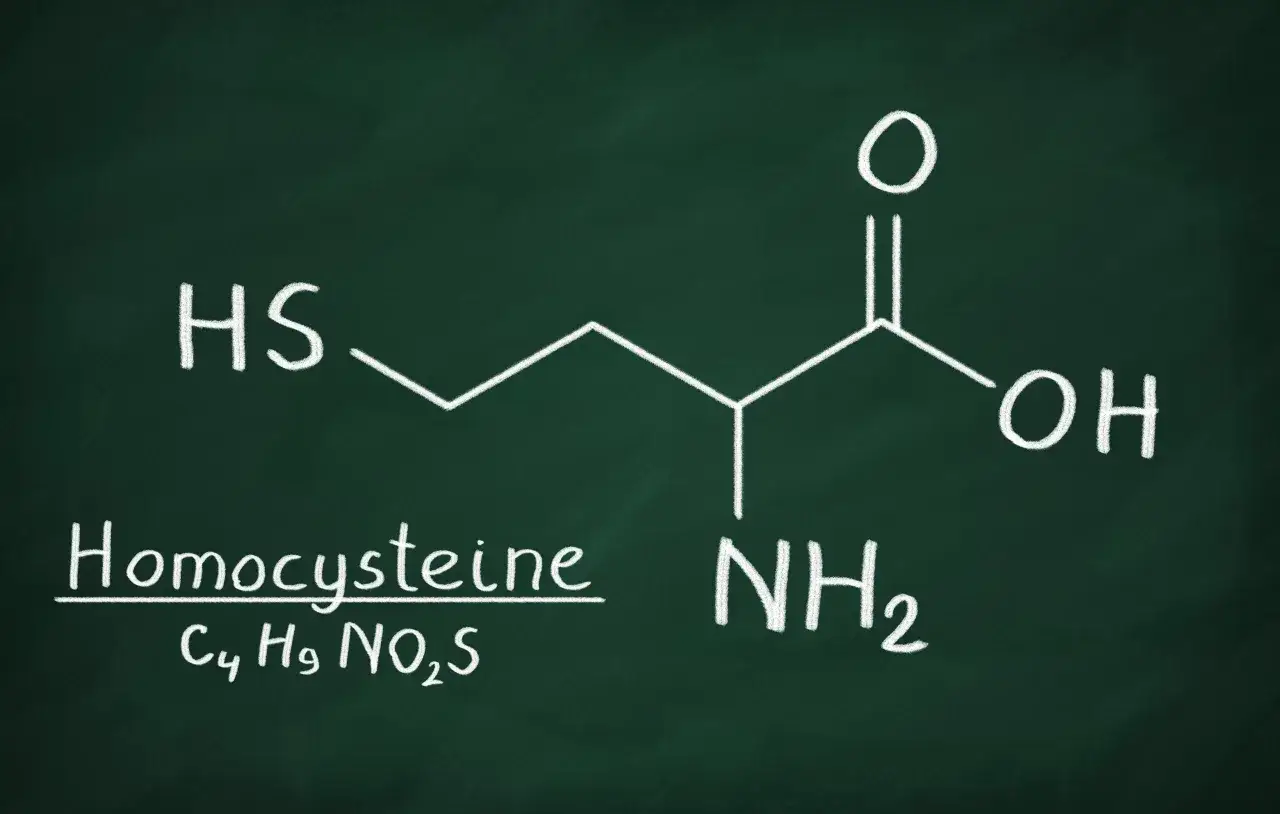 Struktura chemiczna homocysteiny, aminokwasu ważnego dla metabolizmu. Wzór: C₄H₉NO₂S.