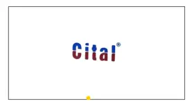 Logo Cital z niebiesko-czerwonymi literami i symbolem ®.
