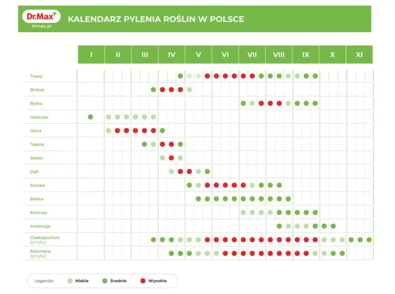Kalendarz pylenia roślin w Polsce. W lipcu intensywnie pylą trawy, bylica, ambrozja i grzyby Cladosporium, co pyli w lipcu.