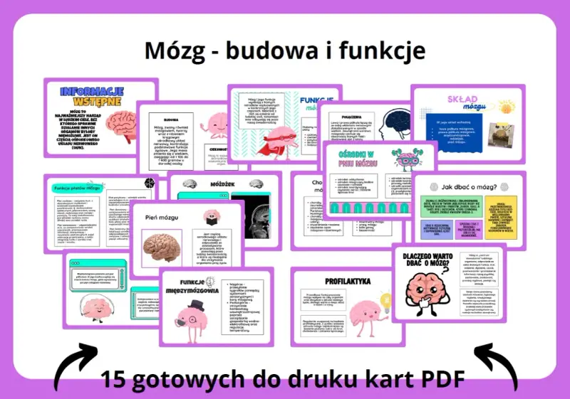 Mózg - budowa i funkcje. Grafika przedstawia schemat budowy i funkcji mózgu, z podziałem na poszczególne części i ich zadania.